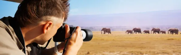 musthaves-wildlife-banner-tiny.webp