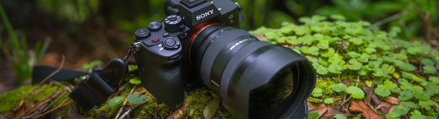 Trouvez l'appareil qui correspond parfaitement à votre style photographique