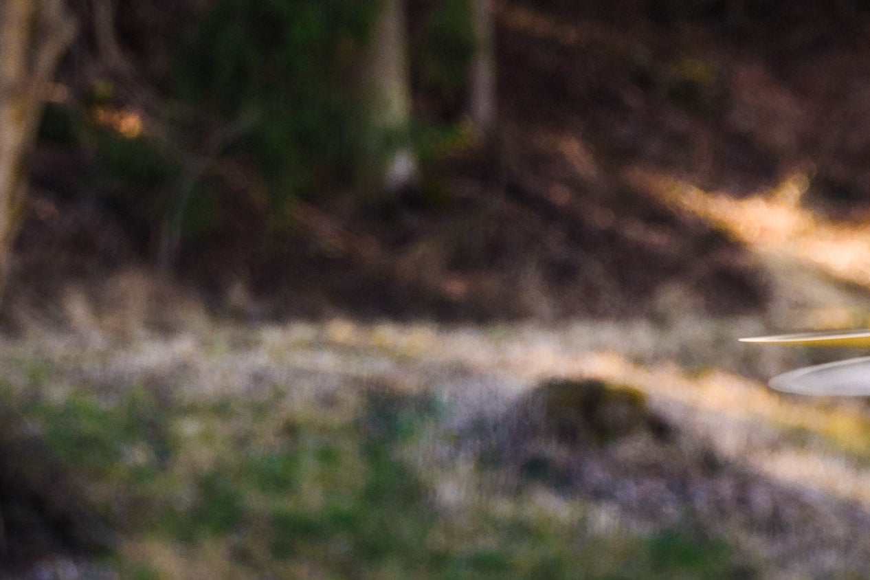 Meilleurs drones de moins de 250 grammes