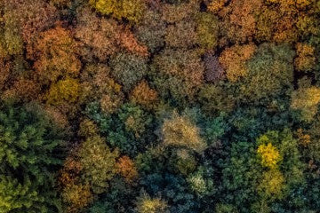10 tips for autumn photography