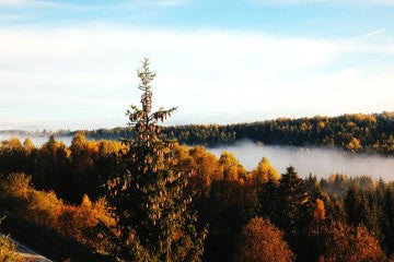 Everything you need for autumn photography
