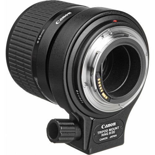 Canon MP-E 65mm F/2.8, Super Macro 1-5x