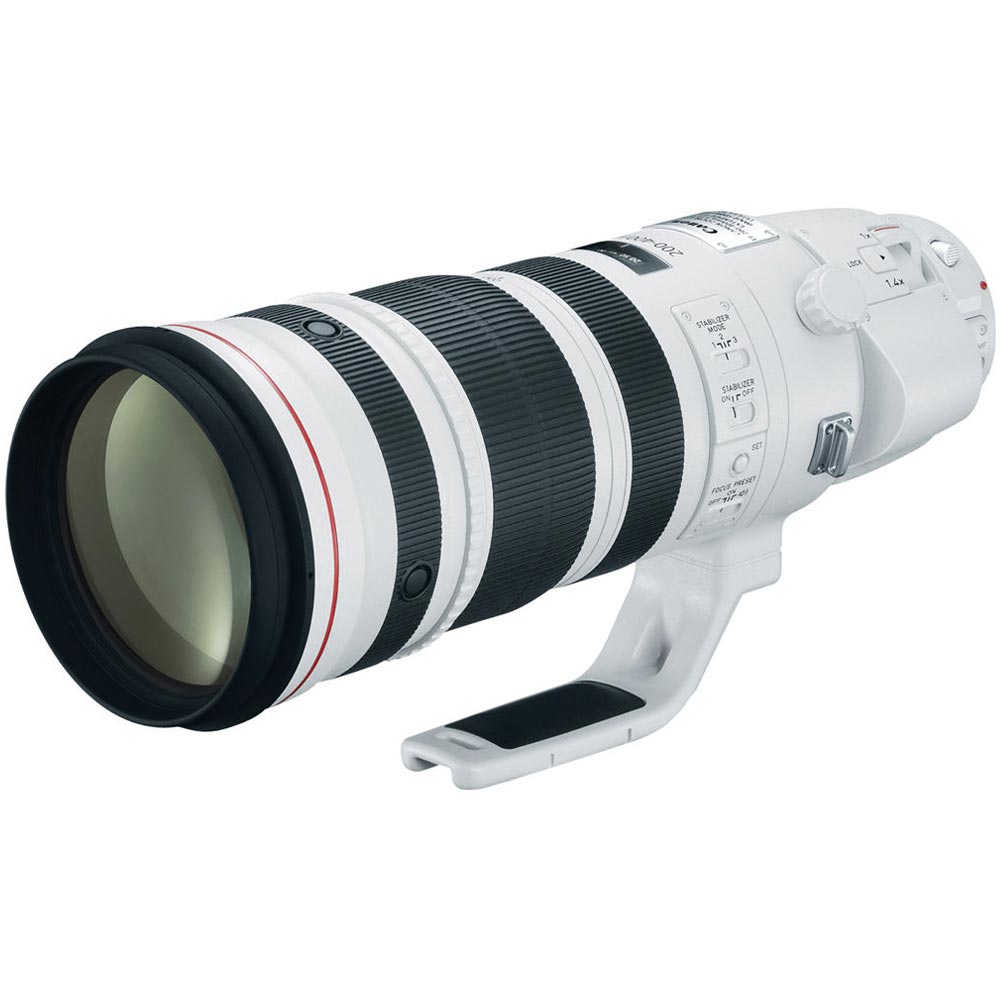 Canon EF 200-400mm f/4.0 L iS USM Extender 1.4x