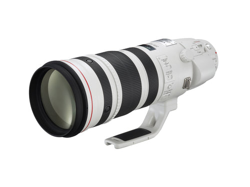 Canon EF 200-400mm f/4.0 L iS USM Extender 1.4x