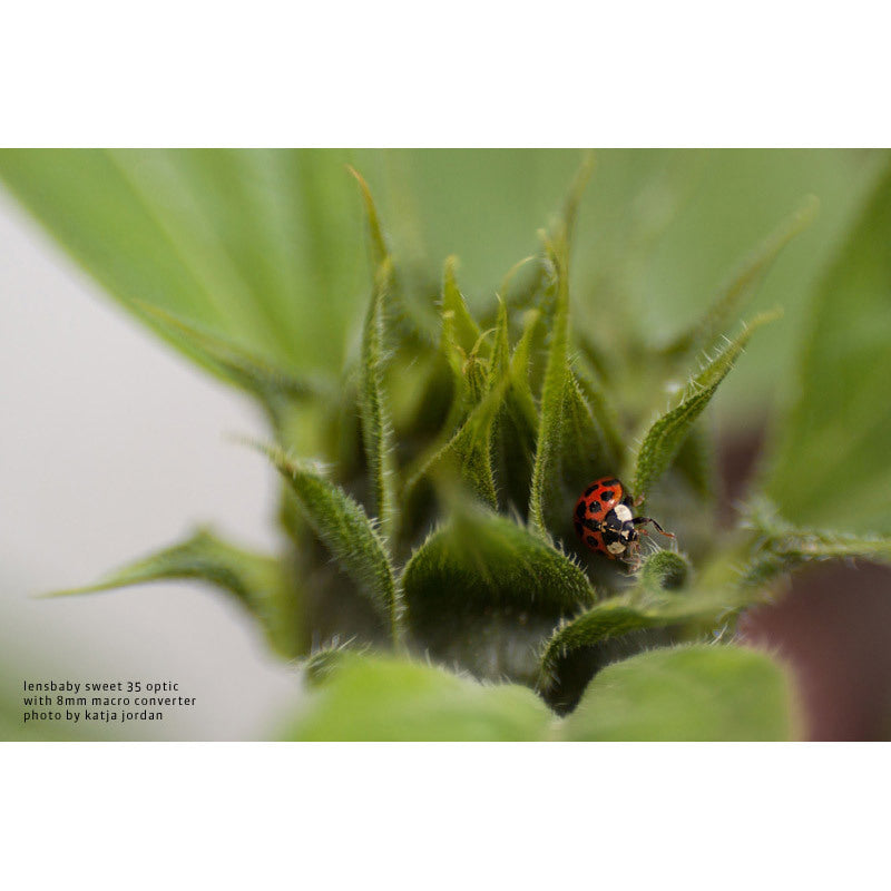 LensBaby Macro Convertisseur