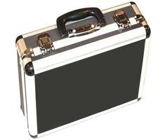 LedGo LG900 Hard Case (für 2pcs)