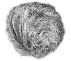 Zoom WSU-1 Universal Windscreen