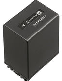 Jupio NP-FH100 (mit Info-Chip)