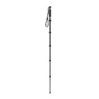 Gitzo GM2562T Carbon Monopode Series 2