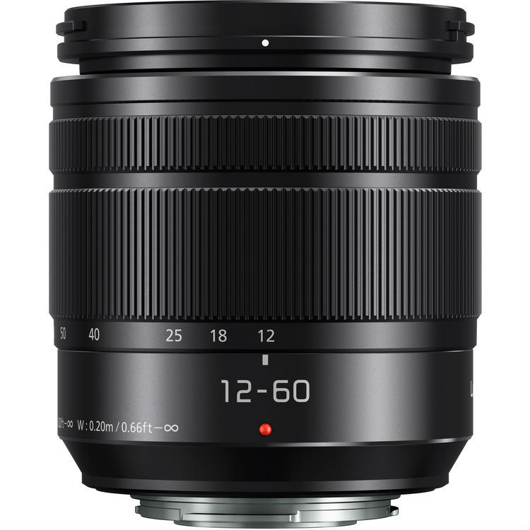 Panasonic Lumix G 12-60mm f/3.5-5.6 ASPH. O.I.S.