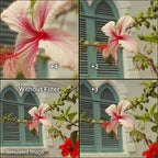 Hoya 49mm Close-Up Set (+1,+2,+4) II HMC