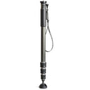 Gitzo GM2542 eXact carbon Einbeinstativ Series 2