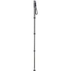 Gitzo GM2542 eXact carbon Einbeinstativ Series 2