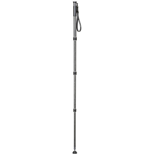 Gitzo GM2542 eXact carbon Einbeinstativ Series 2