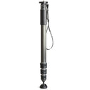 Gitzo GM4542 eXact carbon Einbeinstativ Series 4
