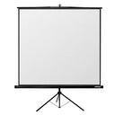 Reflecta Canvas Crystal Line 160cm Projektionsbildschirm