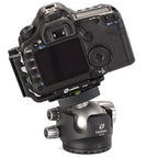 Leofoto LH-55 + QP-70 Rotule