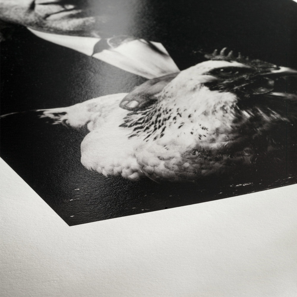 Hahnemühle Photo Rag Baryta 315 g A5 30 feuilles