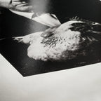 Hahnemühle Photo Rag Baryta 315 g A5 30 feuilles