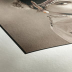 Hahnemühle Photo Rag 308gsm A3+ 25 Blatt