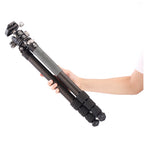 Leofoto Ranger RF-324C + rotule LH-40