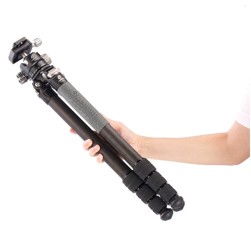 Leofoto Ranger RF-324C + rotule LH-40