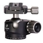 Leofoto Ranger RF-324C + rotule LH-40
