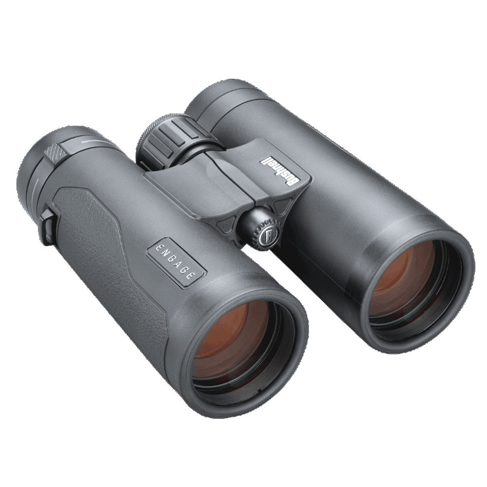 Bushnell Engage EDX 8x42