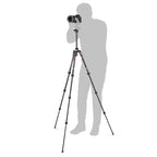 Manfrotto Befree advanced carbon fibre travel Trépied twist, ball head