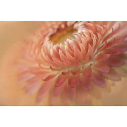 Lensbaby Kit de filtres macro 46mm