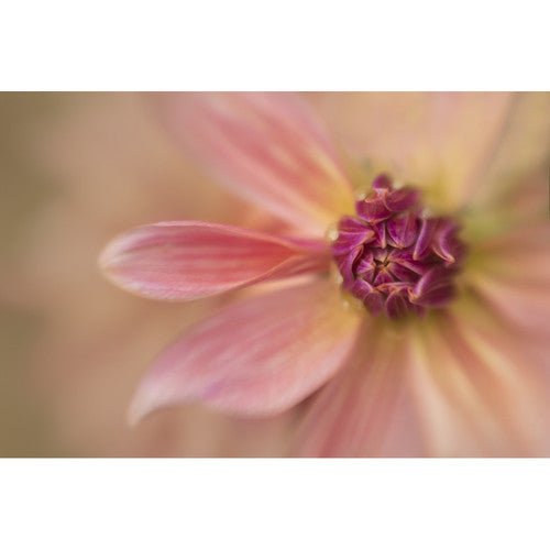 Lensbaby Kit de filtres macro 46mm