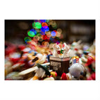 Lensbaby Composer Pro II von Canon RF mit Sweet 35