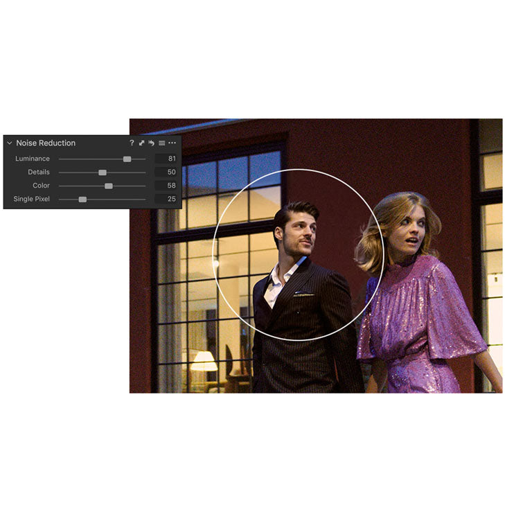 Capture One Pro camera bundel *digitale licentie*