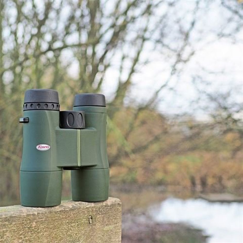 Kowa Jumelles SVII 12x50