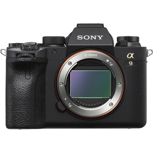 Sony A9 mark II + 200-600mm FE f/5.6-6.3 G OSS