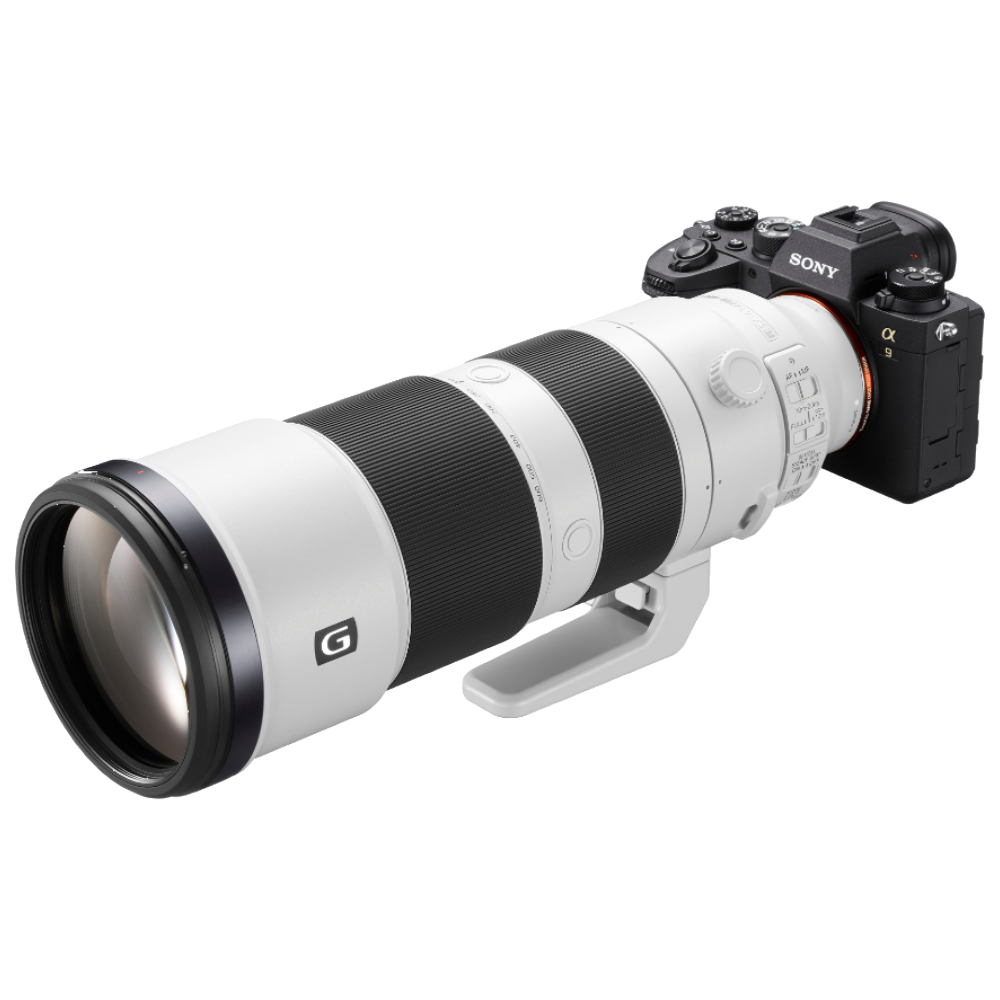 Sony A9 mark II + 200-600mm FE f/5.6-6.3 G OSS