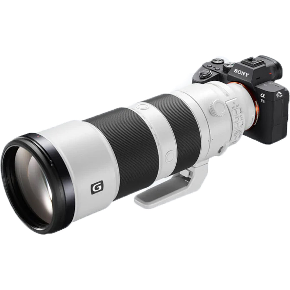 Sony A9 mark II + 200-600mm FE f/5.6-6.3 G OSS