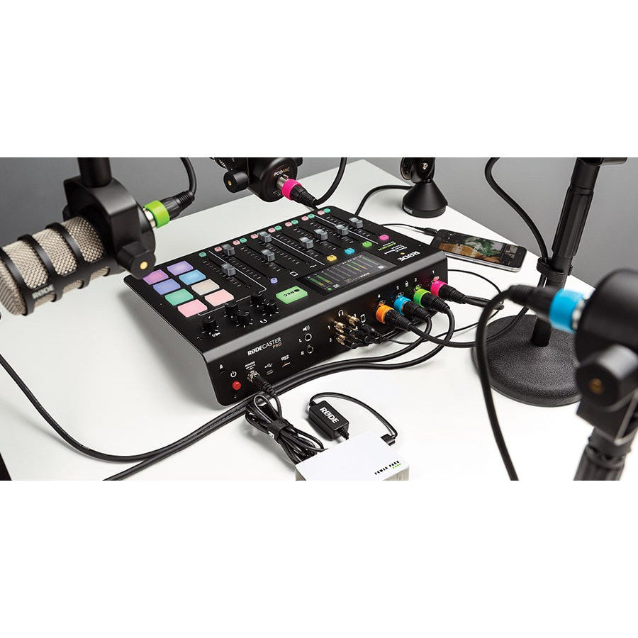RØDE XLR-ID Lot de 8 Bagues de Couleur