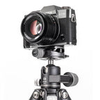Benro Kugelkopf GX25