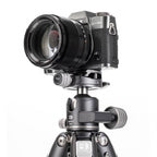 Benro Kugelkopf GX30
