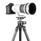 Leofoto PL-200 Objektivplatte