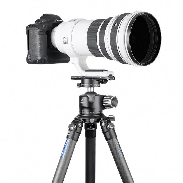Leofoto PL-200 Objektivplatte