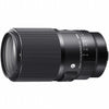 Sigma 105mm f/2.8 DG DN Macro ART L-mount