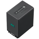 Sony NP-FV100A Batterie Li-Ion pour série V