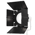 Aputure F10 Barndoor