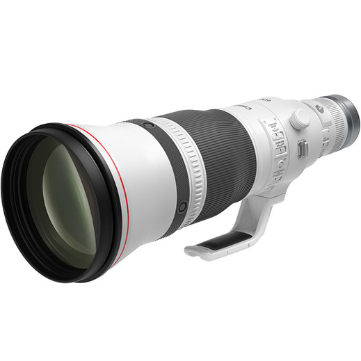 Canon RF 600mm f/4L IS USM