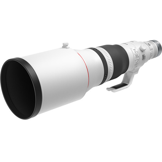Canon RF 600mm f/4L IS USM