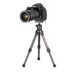 SUNWAYFOTO Ball Head XB-25