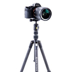 Vanguard VESTA TB 204CB - Trépied en carbone, système Twistlock