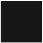 Bresser SBP09 1,36 x 11 m Rouleau d'arrière-plan noir